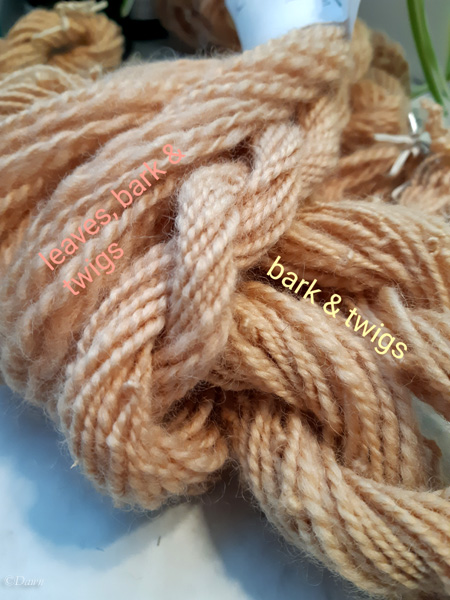 Comparison of the apple bark/twig only, and twig and leaf dye over handspun wool yarn.